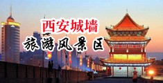 大鸡吧爱爱插插插中国陕西-西安城墙旅游风景区