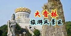 大鸡巴插进里面网站中国浙江-绍兴大香林旅游风景区